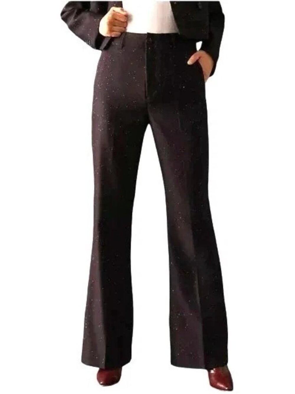 NWOT Scotch & Soda Wool Blend Flare Leg Pants Purple Eggplant Sparkle Glitter 27